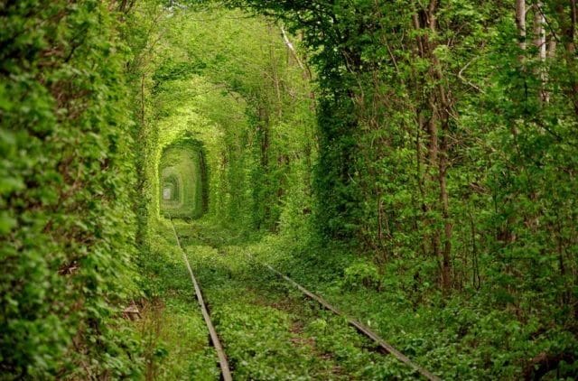 Невероятно красивые картинки - тоннели (25 фото) #23