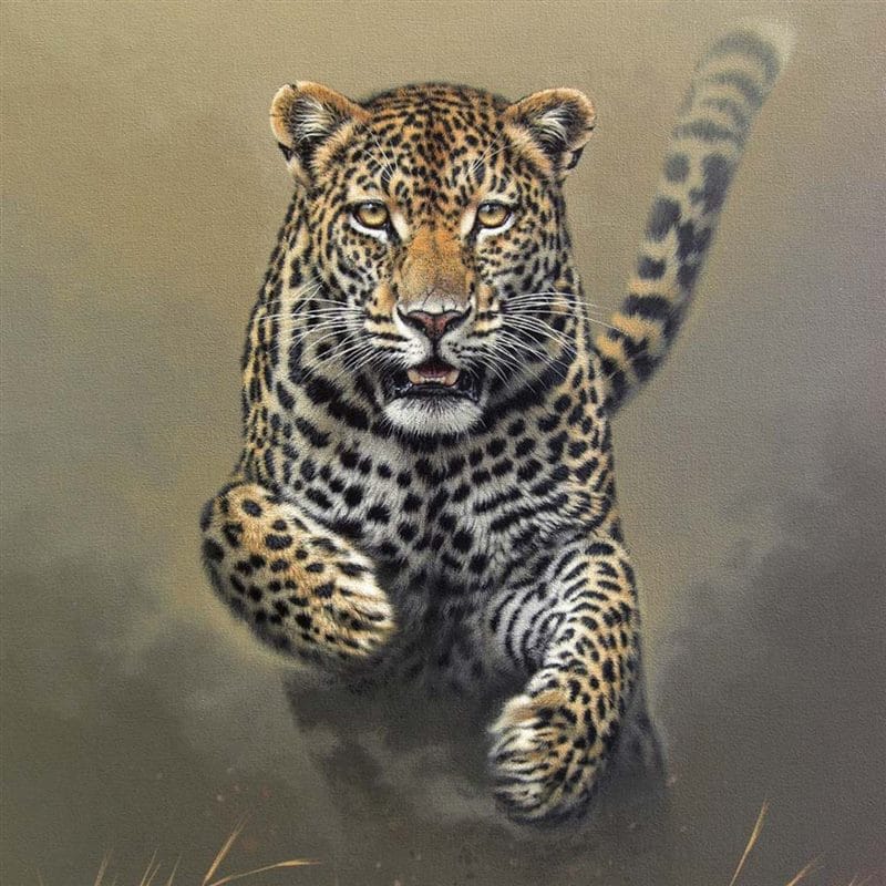 Картинки животное ягуар (100 фото) #42