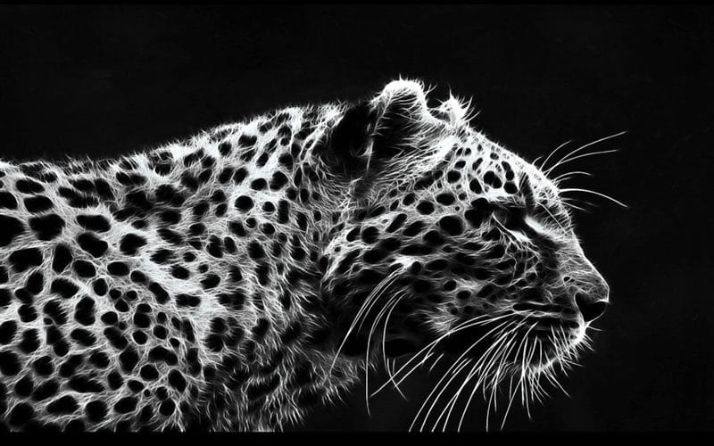 Картинки животное ягуар (100 фото) #60