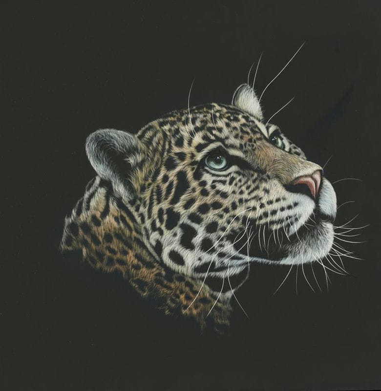 Картинки животное ягуар (100 фото) #69