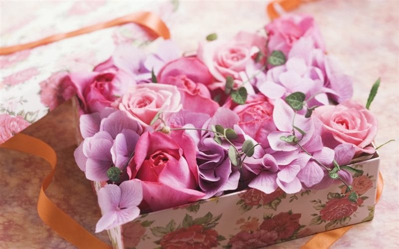 Картинки розы в коробке (100 фото) #63