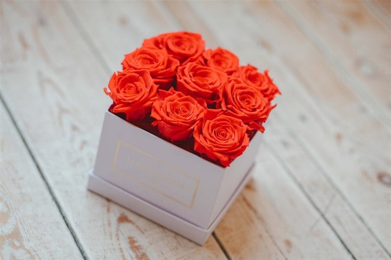 Картинки розы в коробке (100 фото) #93