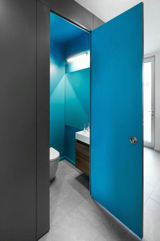 Двери для ванной — фото обзор, виды, характеристики, идеи правильно сочетания в интерьере #20