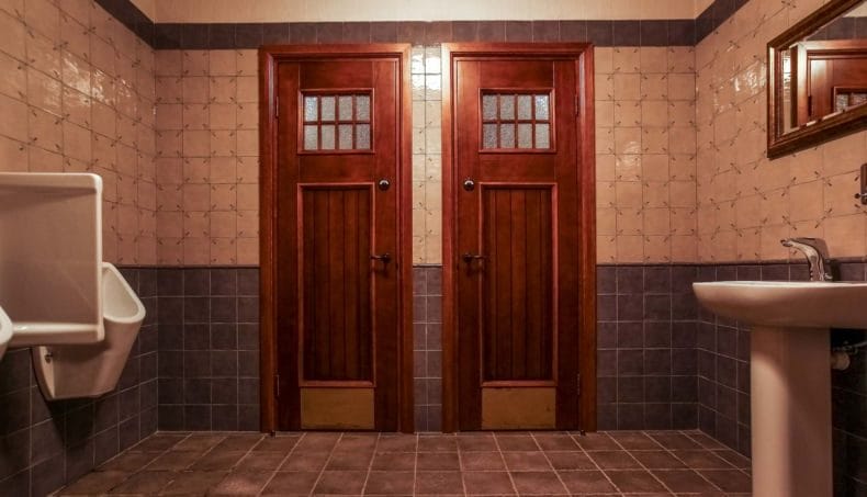 Двери для ванной — фото обзор, виды, характеристики, идеи правильно сочетания в интерьере #32