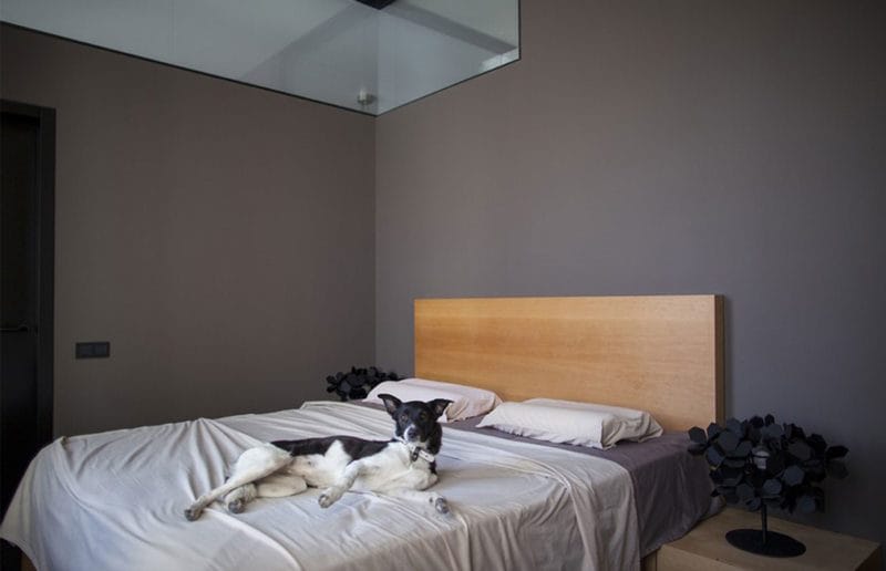 Спальня в стиле минимализм: особенности стильного и лаконичного дизайна (60 фото) #34