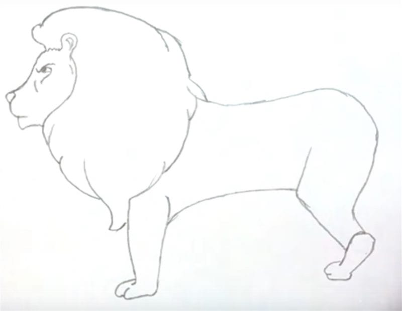 Рисунки карандашом для детей лев (30 фото) #34