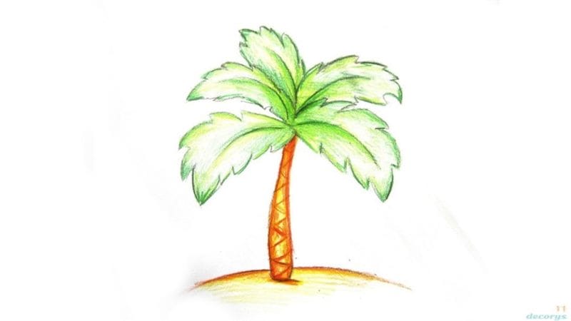 Рисунки карандашом пальма (30 фото) #49