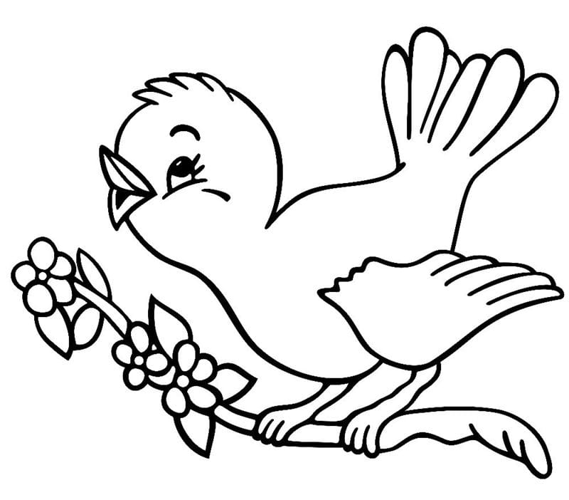 Рисунки птицы карандашом для детей (63 фото) #67