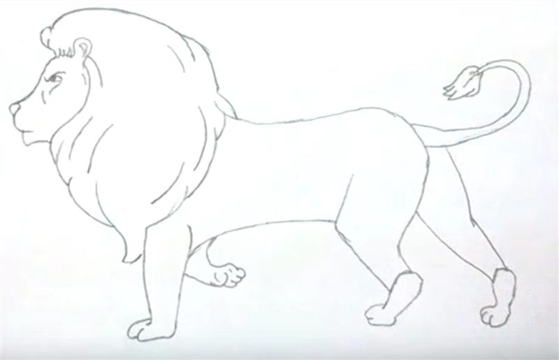 Рисунки карандашом для детей лев (30 фото) #35