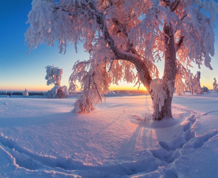 Картинки красивые фото зимы (35 фото) #40