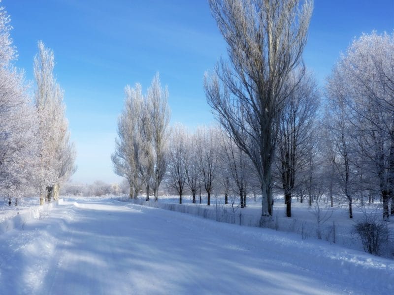 Картинки красивые фото зимы (35 фото) #49