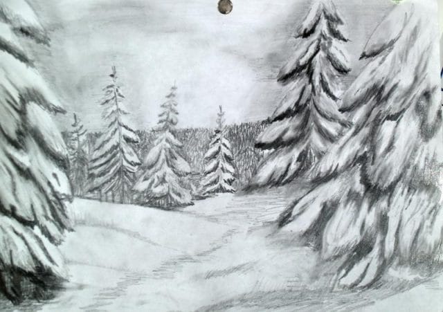 Рисунки для срисовки лес (15 фото) #12