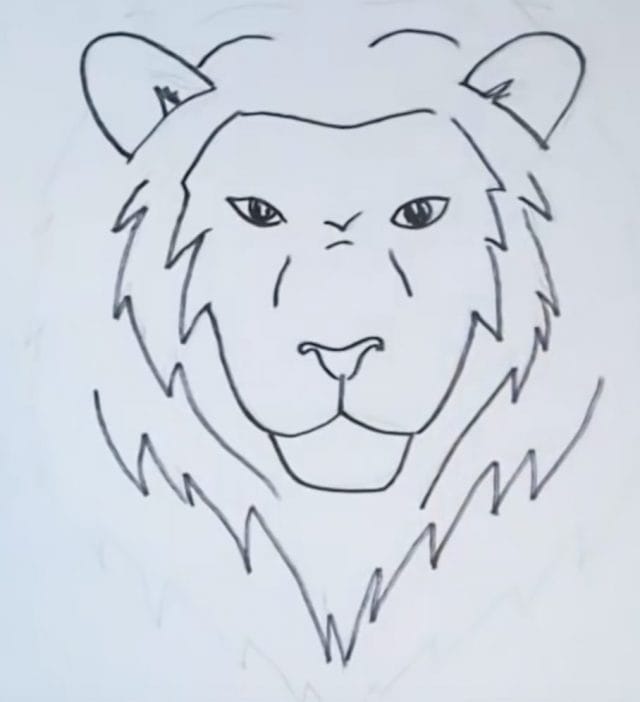Рисунки карандашом для детей лев (30 фото) #12