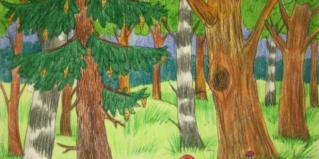 Рисунки леса карандашом для детей (34 фото) #12
