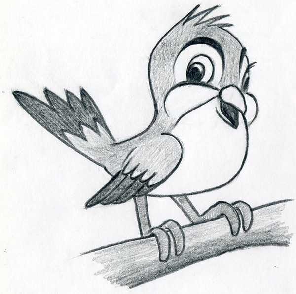 Рисунки птицы карандашом для детей (63 фото) #12