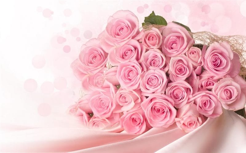 Самые красивые фото цветов и букетов роз (35 фото) #13