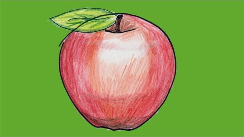 Рисунки карандашом для детей яблоки (48 фото) #85