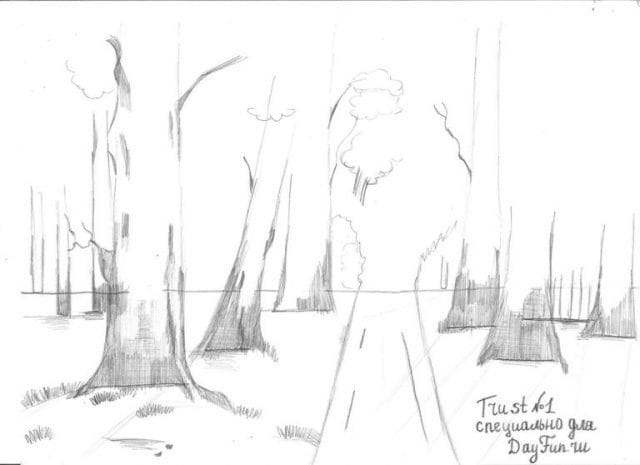 Рисунки для срисовки лес (15 фото) #13