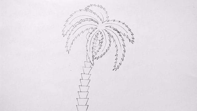 Рисунки карандашом пальма (30 фото) #13