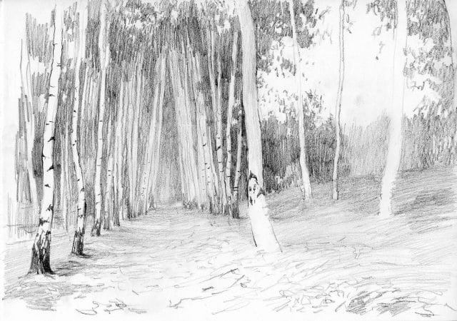 Рисунки леса карандашом для детей (34 фото) #13