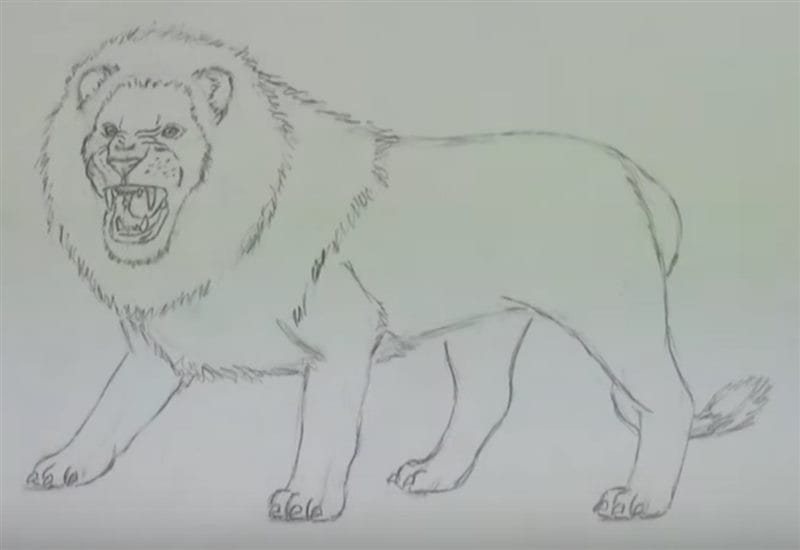 Рисунки карандашом для детей лев (30 фото) #46