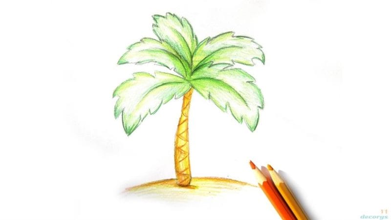 Рисунки карандашом пальма (30 фото) #61