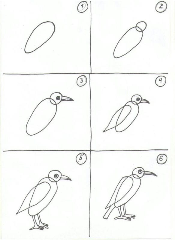 Рисунки птицы карандашом для детей (63 фото) #79