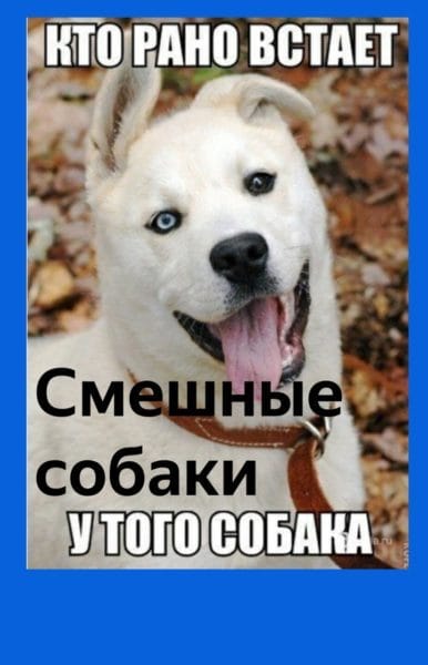 Смешные картинки с собаками с надписями (35 фото) #52