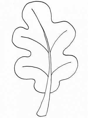 Рисунок карандашом дубовый лист (17 фото) #17