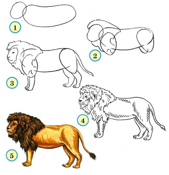 Рисунки карандашом для детей лев (30 фото) #15