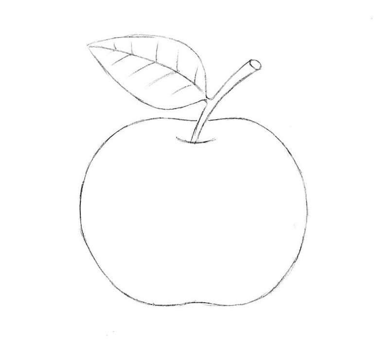 Рисунки карандашом для детей яблоки (48 фото) #18