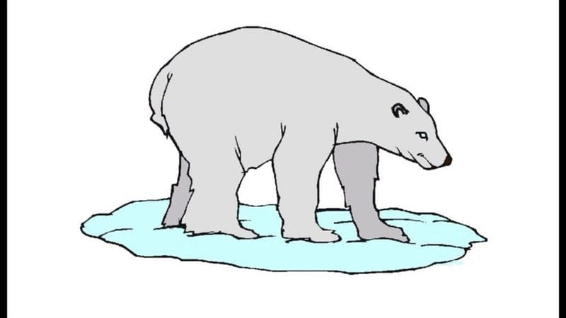 Рисунки медведя карандашом для детей (38 фото) #58