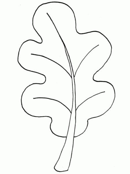 Рисунок карандашом дубовый лист (17 фото) #33