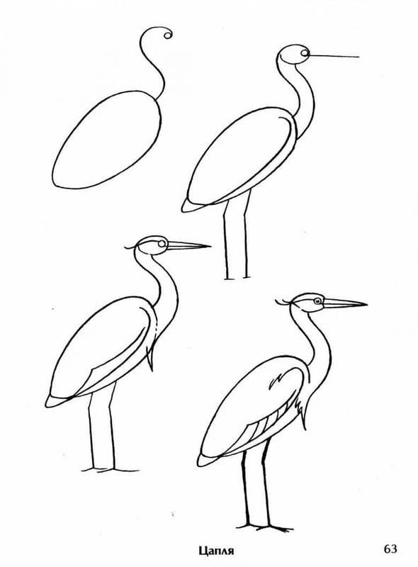Рисунки птицы карандашом для детей (63 фото) #81