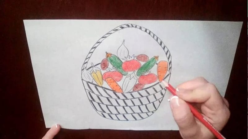 Рисунки овощи карандашом для детей (31 фото) #56
