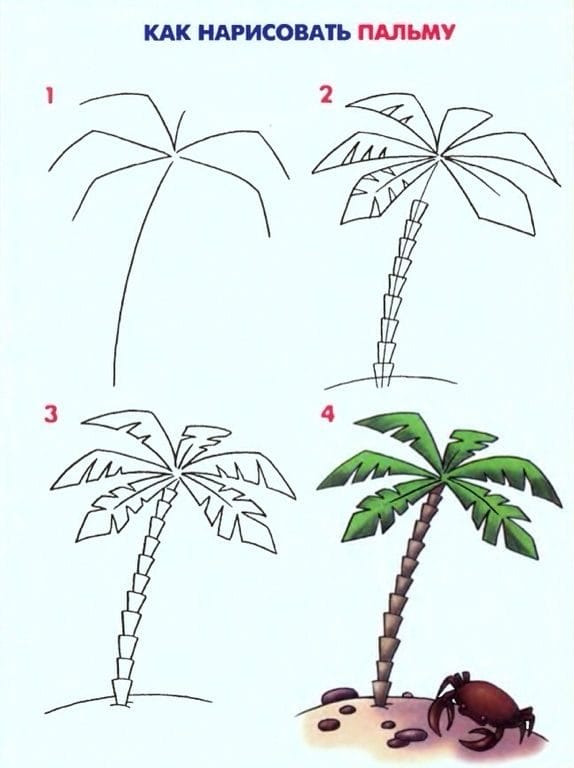 Рисунки карандашом пальма (30 фото) #16