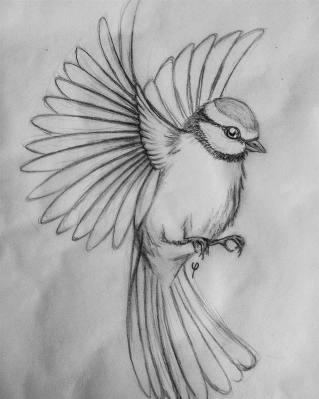 Рисунки птицы карандашом для детей (63 фото) #82