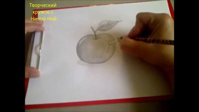 Рисунки карандашом для детей яблоки (48 фото) #89