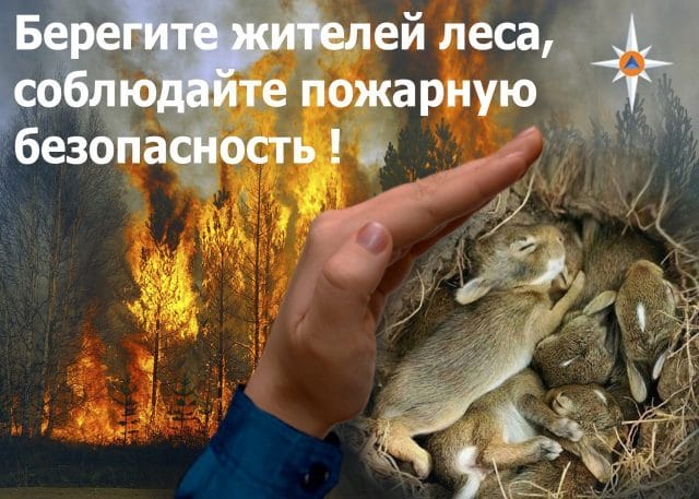 Картинки «Берегите лес от пожара!» (29 фото) #16