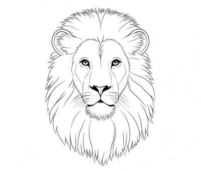 Рисунки карандашом для детей лев (30 фото) #17