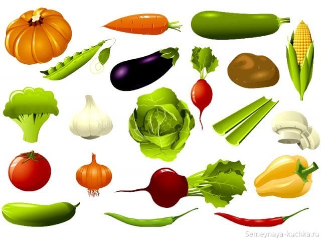 Рисунки овощи карандашом для детей (31 фото) #17