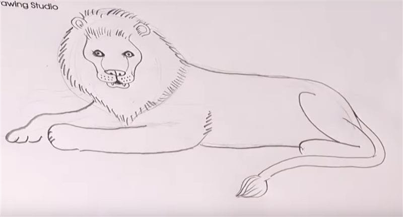 Рисунки карандашом для детей лев (30 фото) #50