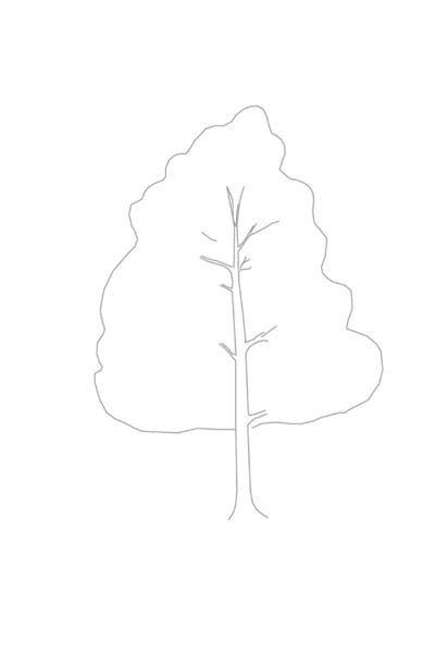 Рисунок карандашом дубовый лист (17 фото) #35