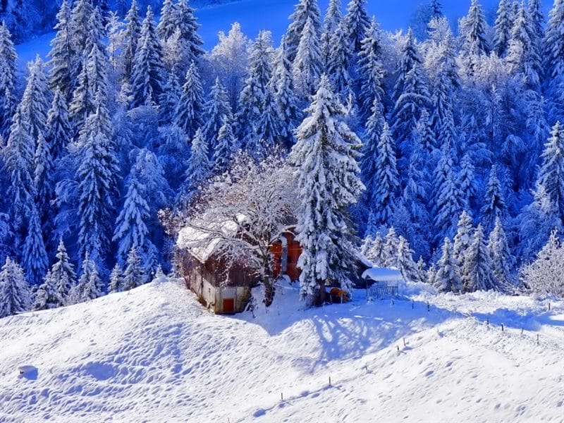 Картинки красивые фото зимы (35 фото) #32