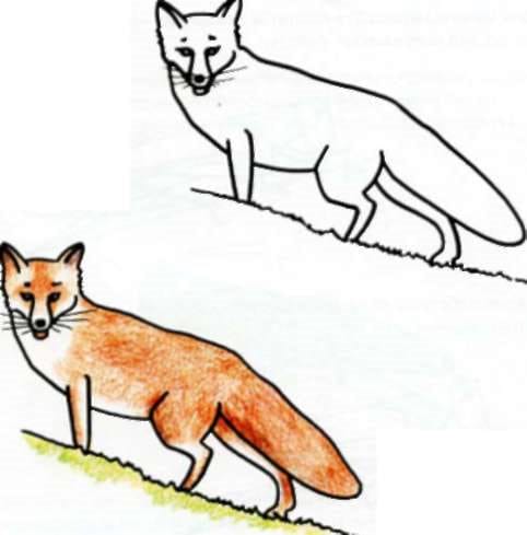 Рисунки карандашом для детей лиса (28 фото) #18