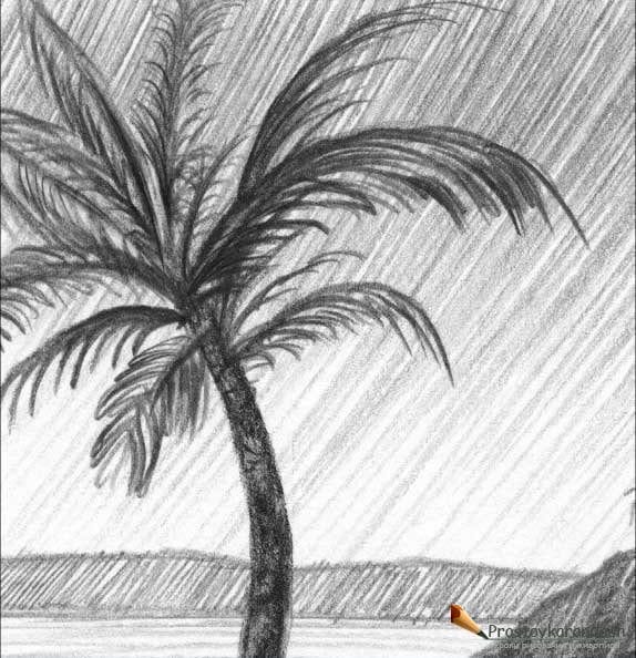 Рисунки карандашом пальма (30 фото) #19