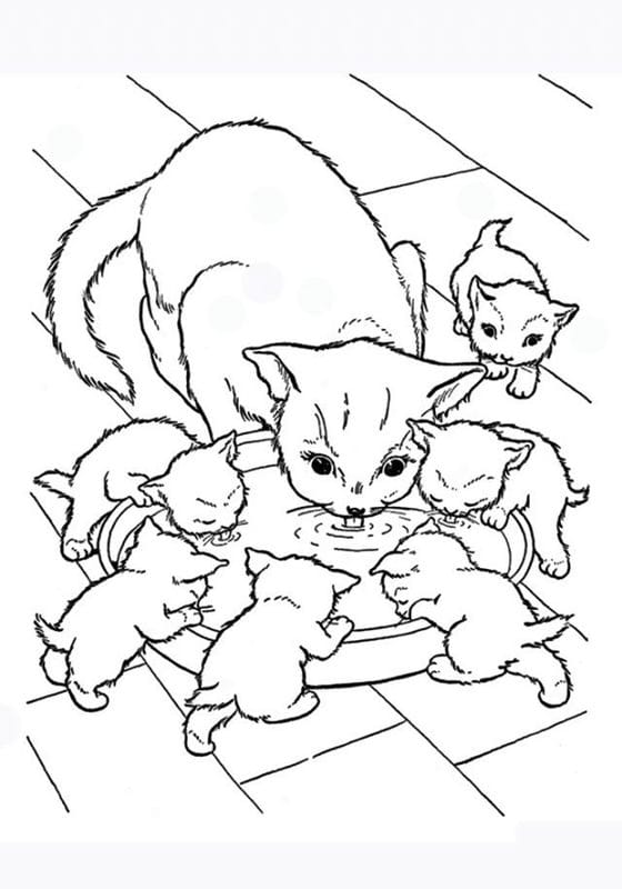 Рисунки кошки карандашом для детей (33 фото) #21