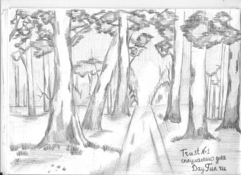 Рисунки леса карандашом для детей (34 фото) #18