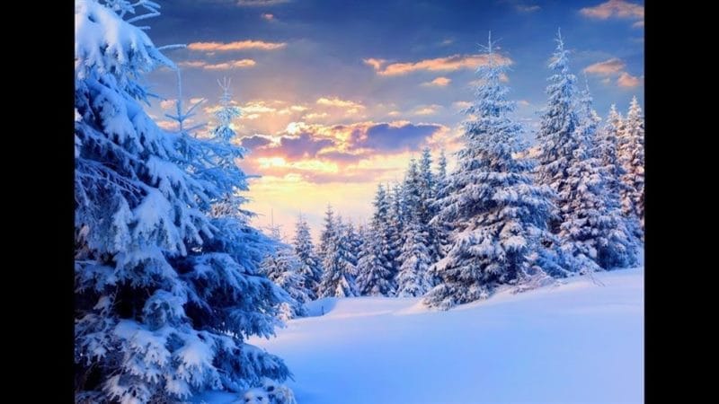 Картинки красивые фото зимы (35 фото) #55