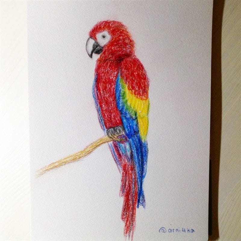 Рисунки птицы карандашом для детей (63 фото) #84